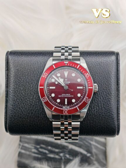 Tudor Black Bay 7939A1A0RU Steel 39mm (2025 year)